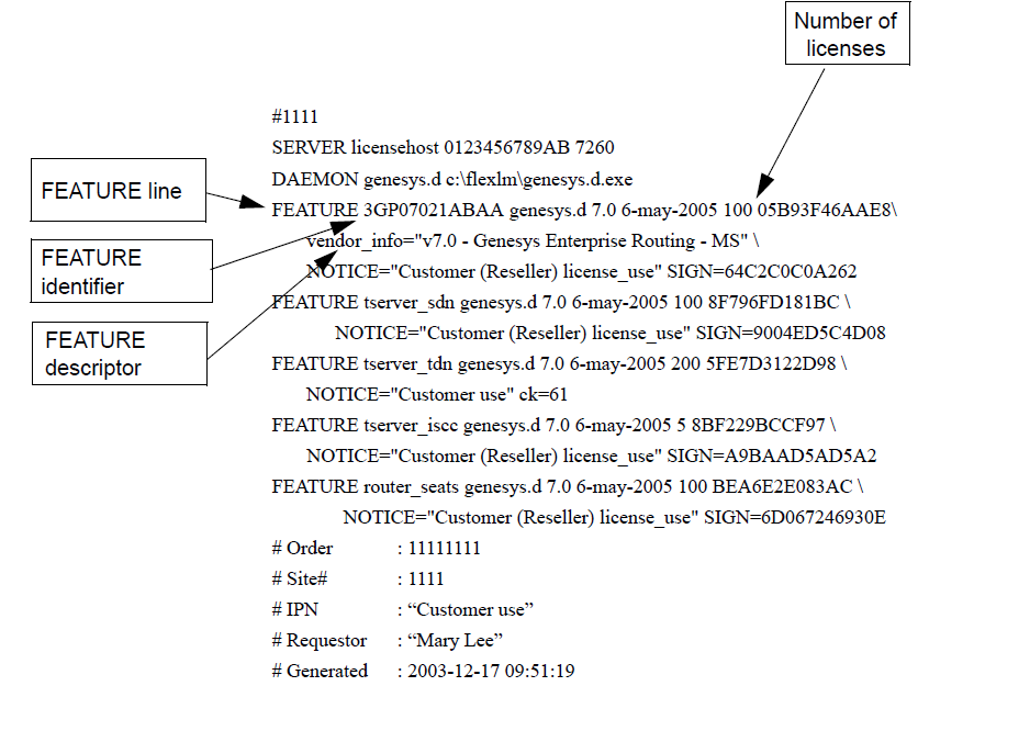 Sample License Data File Using the Feature Identifier and Descriptor