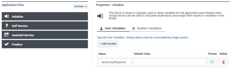 Des setupsurvey initialize.png