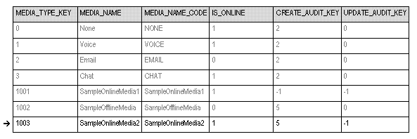 GIM MEDIA TYPE Table.png