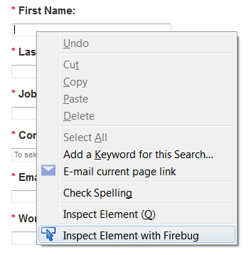 Co-browse Using Firebug 1.png