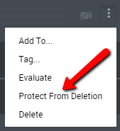 Protect from deletion option.png