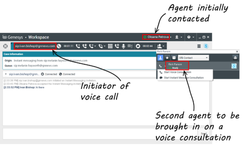 Skype - Voice consultation.png