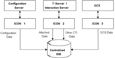 Role Division Among ICONs