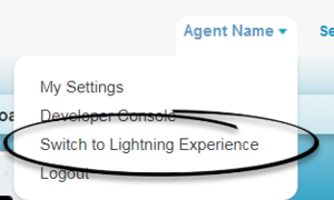 GPlus adp Lightning LightningExperience.png