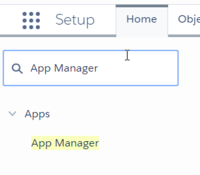 GPlus adp Lightning appmanager.png